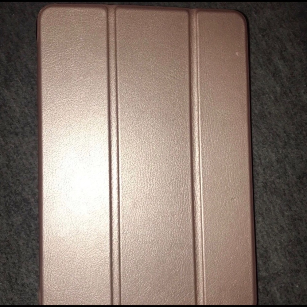 iPad 3 Mini Case